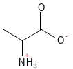 Aminosyre_Alanine_structure