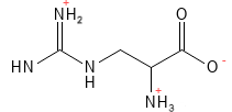 Aminosyre_Arginin_structure