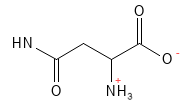 Aminosyre_Asparagin_structure