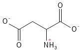 Aminosyre_Asparaginsyre_structure
