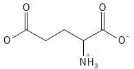 Aminosyre_Glutaminsyre_structure