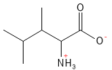 Aminosyre_Leucin_structure