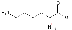 Aminosyre_Lysin_structure