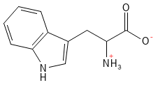 Aminosyre_Tryptophan_structure