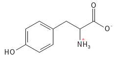 Aminosyre_Tyrosin_structure