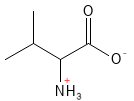 Aminosyre_Valine_structure