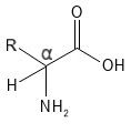 alpha_aminosyrer_pure_care_1